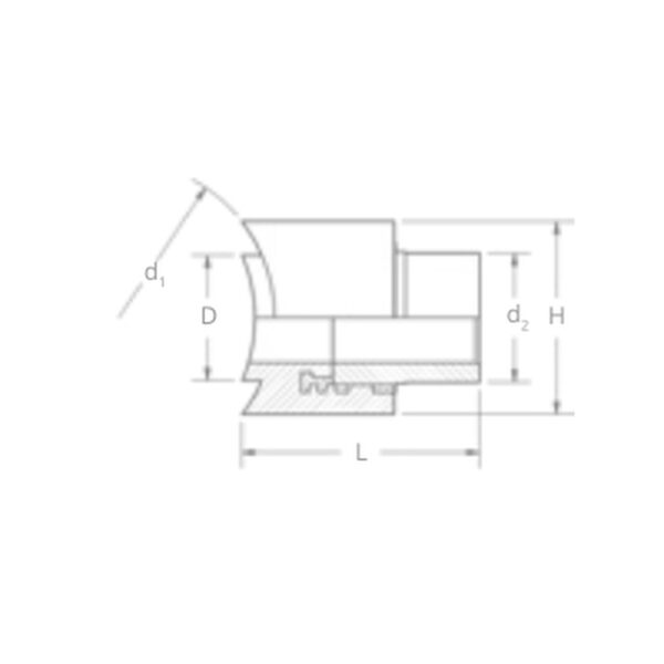 REPOLEN-592DF4B063_01