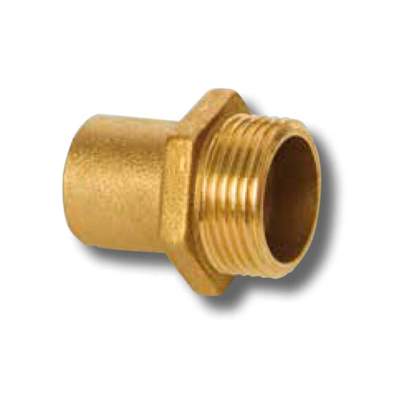INY-3681-VAR_01