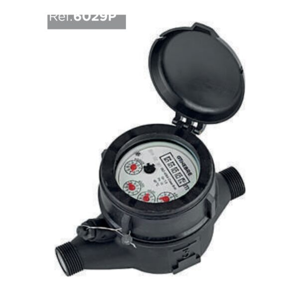 GEN-6029P-V_01