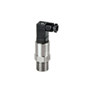 8081 - Imagen 1