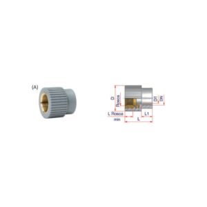 Enlace rosca hembra unión socket - Imagen 1