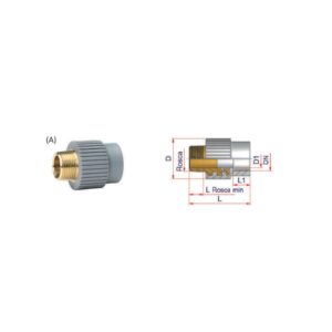 Enlace rosca macho unión socket - Imagen 1
