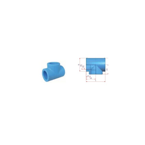 ITAL-NT16-V_01